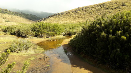 Obraz premium Walking in Horton Plains