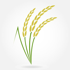 Rice. Crop symbol. Rice or Wheat ears design element. Agriculture grain. Colorful vector illustration.