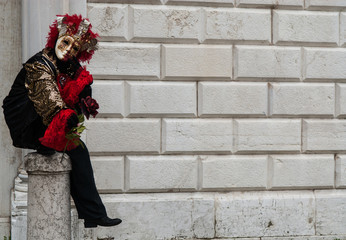 Carnaval de venise photo masque