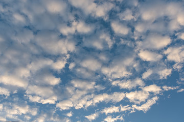 Obraz premium blue sky with cloud before sunset