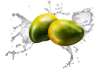 Water splash and fruits isolated on white backgroud. Fresh mango