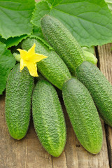 Cucumbers on old timber