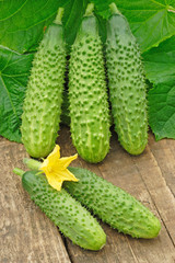 Cucumbers on old timber