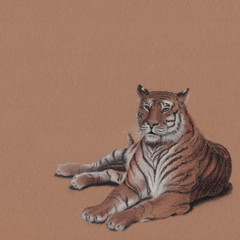Pastel background. Resting tiger  - 138830112