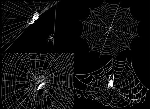 four isolated white spider webs