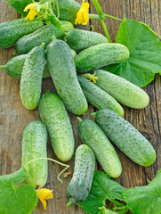 Harvest of cucumbers on old timber