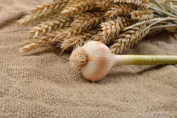 Green garlic with cloves on jute background, with bunch of wheat behind them. Concept of healthy food, bio from countryside. Rustic image. Copy space