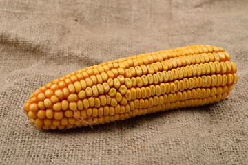 Dried corn lying on jute canvas background. Rustic image. Concept of healthy bio food