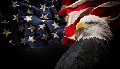 Abwaschbare Fototapete Adler Amerikanischer Weißkopfseeadler mit Flagge.
