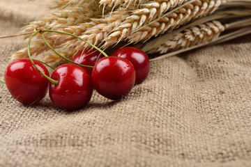 Fresh red and tasty cherries on jude background, with bunch of wheat behind them. Concept of healthy food, bio from countryside