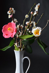 Camelias and Plum blossoms putted into a vase