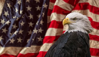 Photo sur Plexiglas Anti-reflet Aigle Pygargue à tête blanche américain avec drapeau.