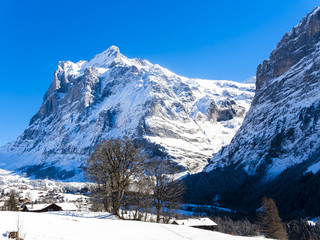 Schweiz, Kanton Bern, Berner Oberland, Interlaken-Oberhasli, Wetterhorn, Winterlandschaft  in...