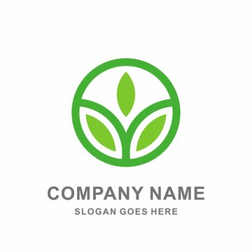 Simple Circle Organic Green Leaf Nature Farm Vegetables Agriculture Apps Business Company Stock Vector Logo Design Template 
