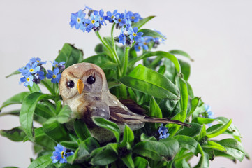 Owl among forget-me-nots, symbols of wisdom and memory loss, one of the symptoms of Alzheimer’s disease. 