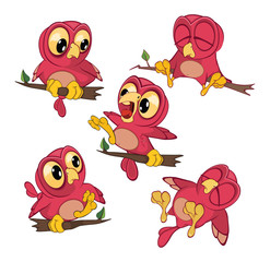 Fototapeta premium Set Cartoon Illustration. A Cute Owl in Different Poses for you Design