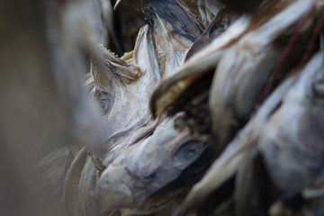 Norway - Dry fish