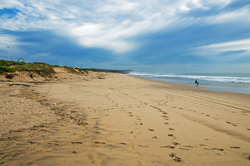 Sandy Beach Shoreline and Vegetated Dunes Against Blue Skyline