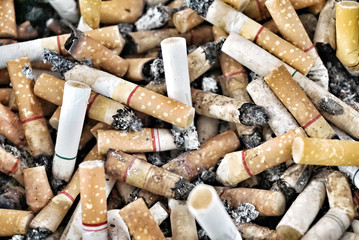 close-up of dozens of cigarette butts (in ashtray)