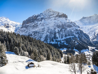 Schweiz, Kanton Bern, Berner Oberland, Interlaken-Oberhasli, Wetterhorn, Winterlandschaft  in...