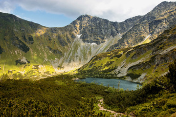 Mountain Lake and Dwarf Pine