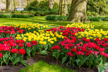 Flower garden. Beautiful park garden in spring. beautiful garden flowers