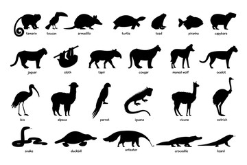 Large set of silhouettes of animals of South America