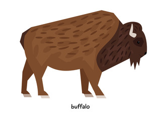 Buffalo - the largest modern bull