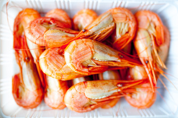 shrimps  on white background
