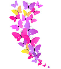 Fototapeta na wymiar beautiful violet butterflies, isolated on a white