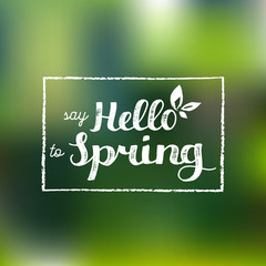 Vector hand lettering inspirational typography poster. Say hello to spring on blurred background.