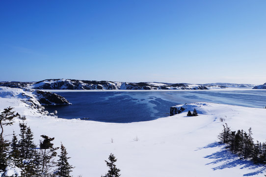 Winter Newfoundland