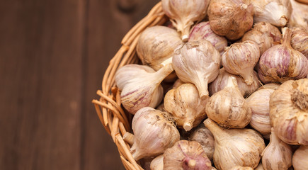 heads of garlic in a wicker basket on a wooden background