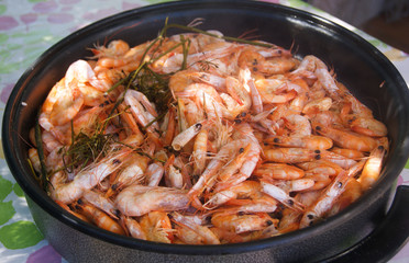 shrimp in a pan