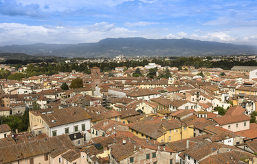 Fototapeta na wymiar View from Torre Guinigi to the old town of Lucca, Tuscany, Italy