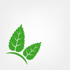  leaf logo