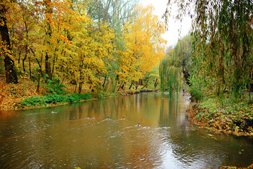 Autumn Landscape. Park in Autumn. The bright colors of autumn in