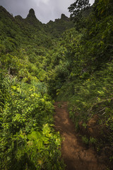 Fototapeta na wymiar Views on the Kalalau trail along the Na Pali coast