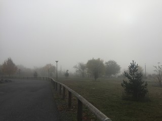Obraz na płótnie Canvas Foggy scenery