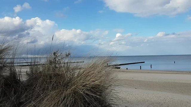 In den D&uuml;nen