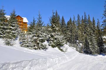 Fototapeta premium Winter woods. Wooden house on a hill among spruce trees