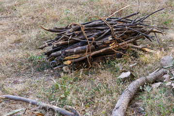 A bundle of firewood tied with a coir rope