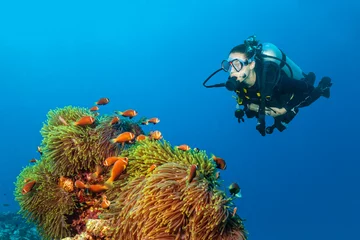 Foto op Plexiglas Woman scuba diver exploring claun fish © Jag_cz