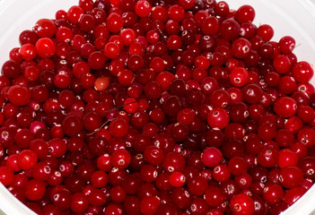 red ripe cranberries.view background