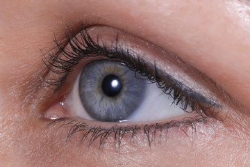 Obraz premium L'oeil