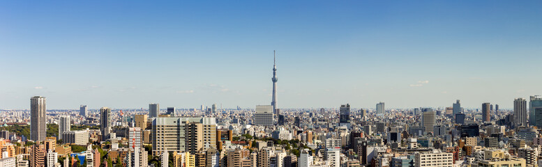 Fototapeta na wymiar Panorama view of tokyo city and skyline in clear sky day