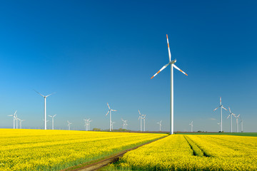 Windkraftanlagen, blühendes Rapsfeld, blauer Himmel