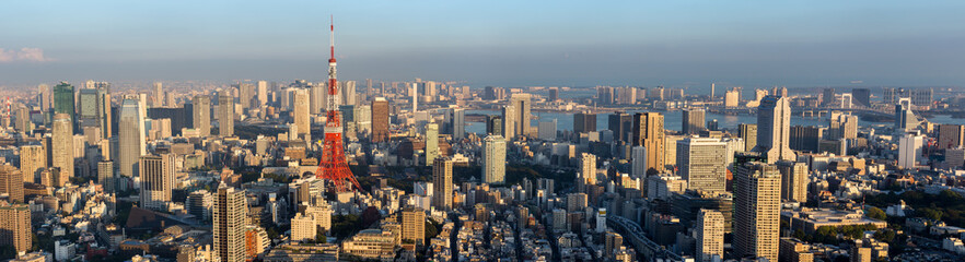 Panorama view of Tokyo city skyline , Japan