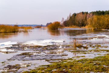 Przedwiośnie nad Narwią © podlaski49