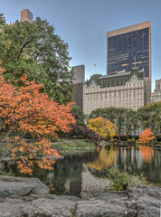 Fototapeta premium Central Park, New York City